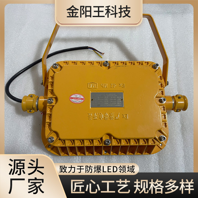 DGS12\/127L(A)矿用巷道隔爆型LED照明灯耐高温强度高