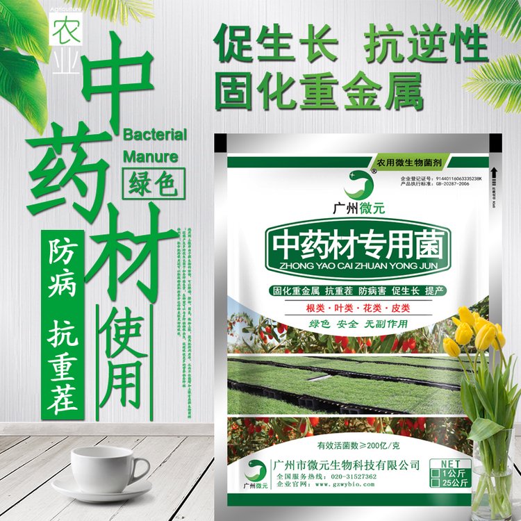 中药材菌肥专用功能菌中成药种植专用农用微生物菌剂复合芽孢杆菌