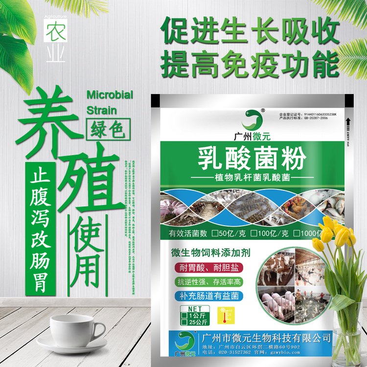 植物乳杆菌乳酸菌混合型饲料添加剂益生菌增强胃肠的消化吸收功能