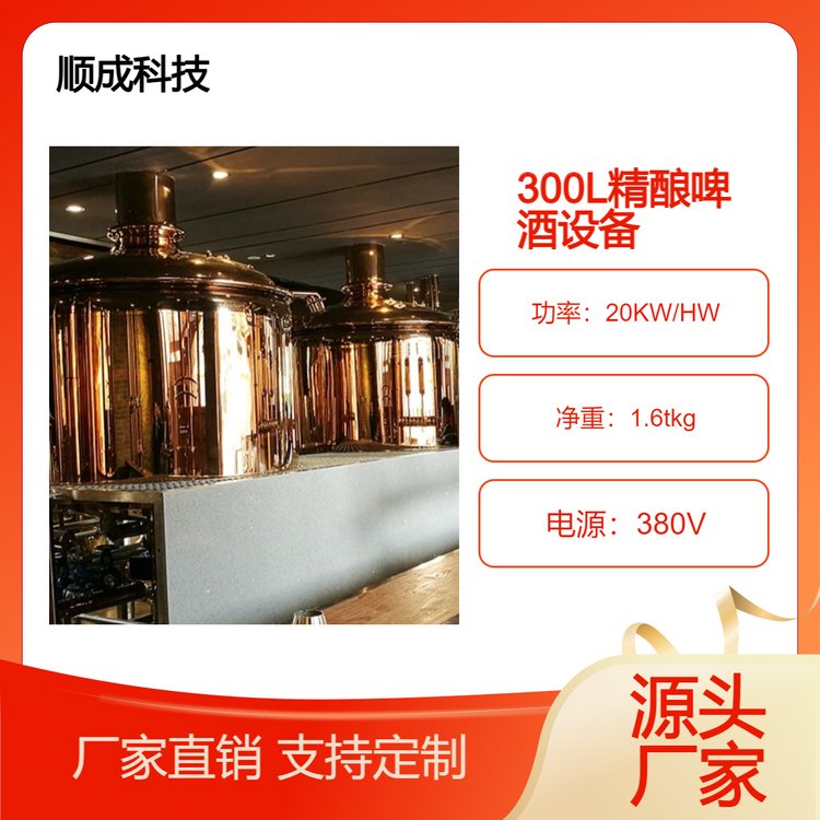 300L精酿啤酒设备餐饮\/酒店专用源头厂家支持定制