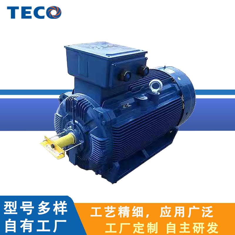 TECO东元粉尘防爆电机TEBD系列ExtDA21T135℃