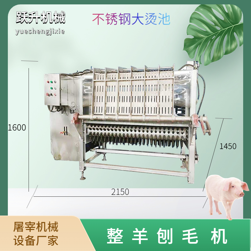 山羊全自動(dòng)刨毛機(jī)綿羊打毛機(jī)躍升機(jī)械屠宰殺流水線