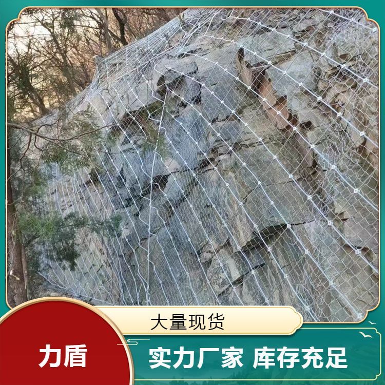 山体滑坡固土网边坡防护网植被绿化网结实耐用