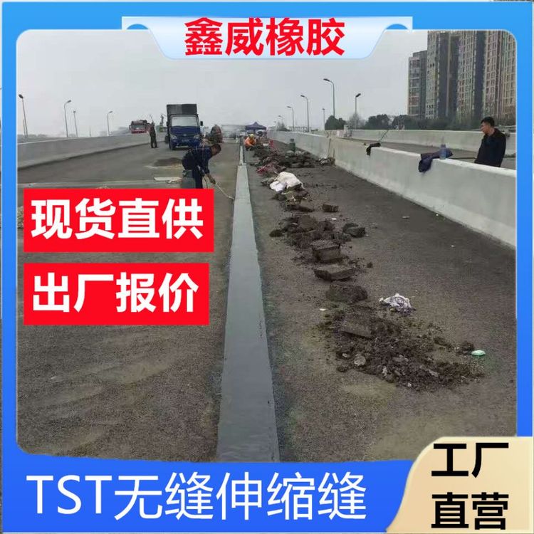 TST无缝伸缩缝弹塑体无缝式桥梁伸缩装置加热填充沥青膏