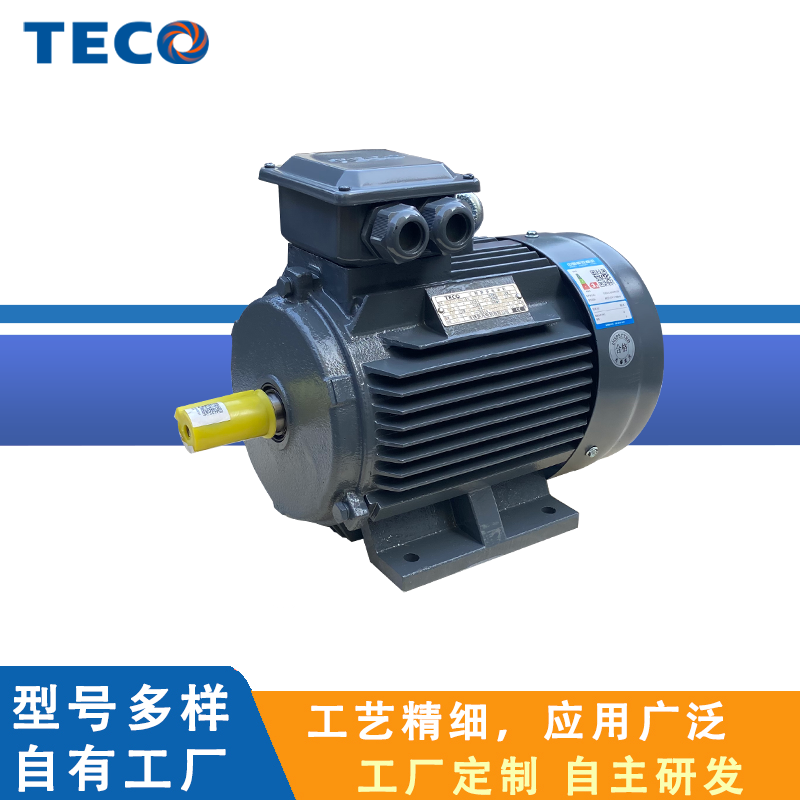 TECO东元电机三相异步电动机AEEVX34极\/功率4KW\/频率50HZ