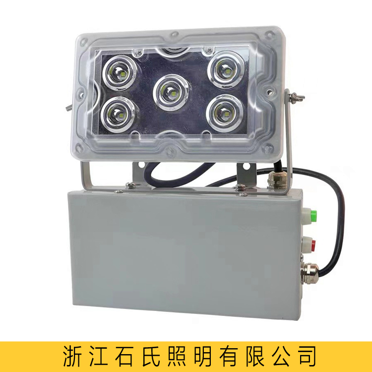 NFE9178固態(tài)免維護應(yīng)急燈NFC9178led電廠配電站事故應(yīng)急照明燈