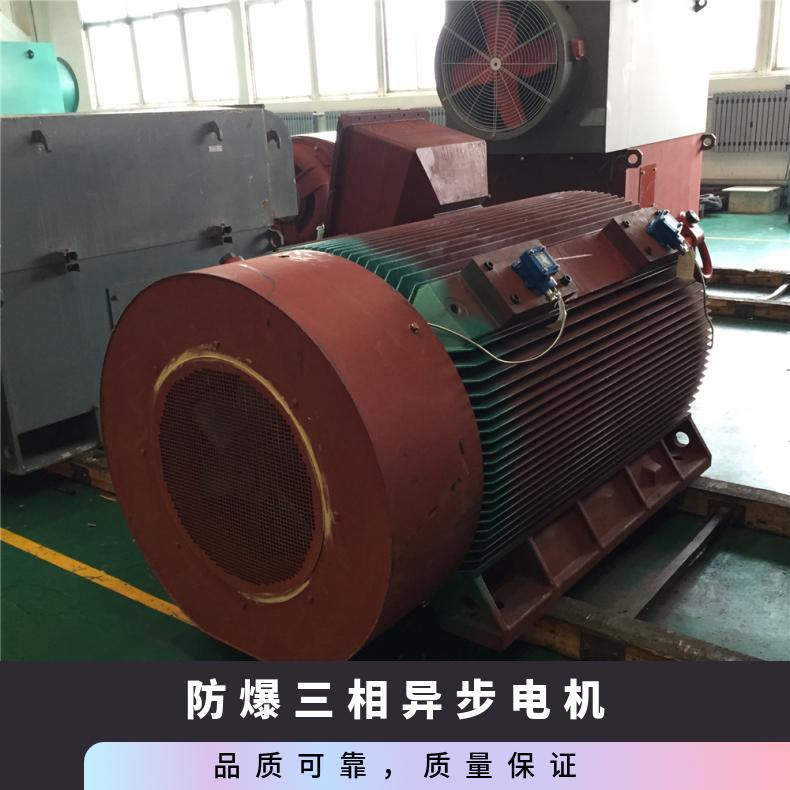 鸿泰防爆三相异步电机YBX2-5003-41000KW1485rpm电压10KV\/6KV