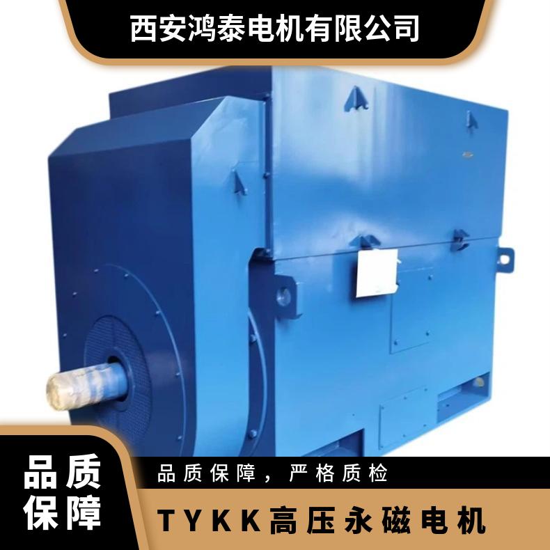 鸿泰TYKK高压永磁电机TYKK1000-105000KW温升低冷却方式IC616