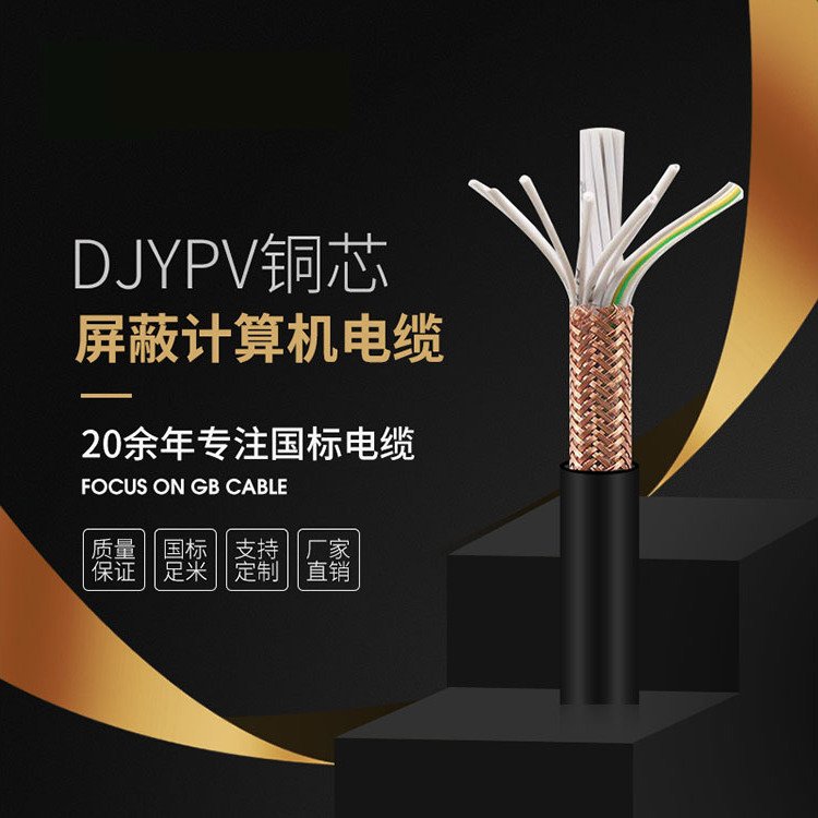 DJYPV屏蔽计算机电缆国标安全定制电缆质量保证