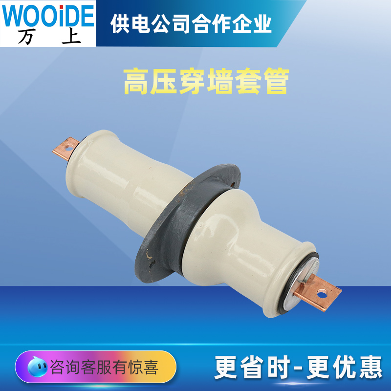 10KV穿墻套管CB-10KV\/200A-400A-1500A戶內銅導體白陶瓷套管4*40