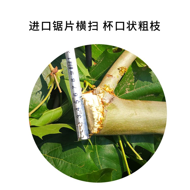 隔离带绿化修剪车城市绿篱修剪机