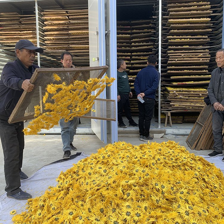 地瓜红薯烘干箱豆制品干燥热泵香菇烘干机智工常年出售