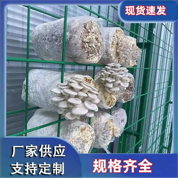 镀锌钢方管养菌架红平菇养菌网格金属成品香菇双排摆菌架专业定制