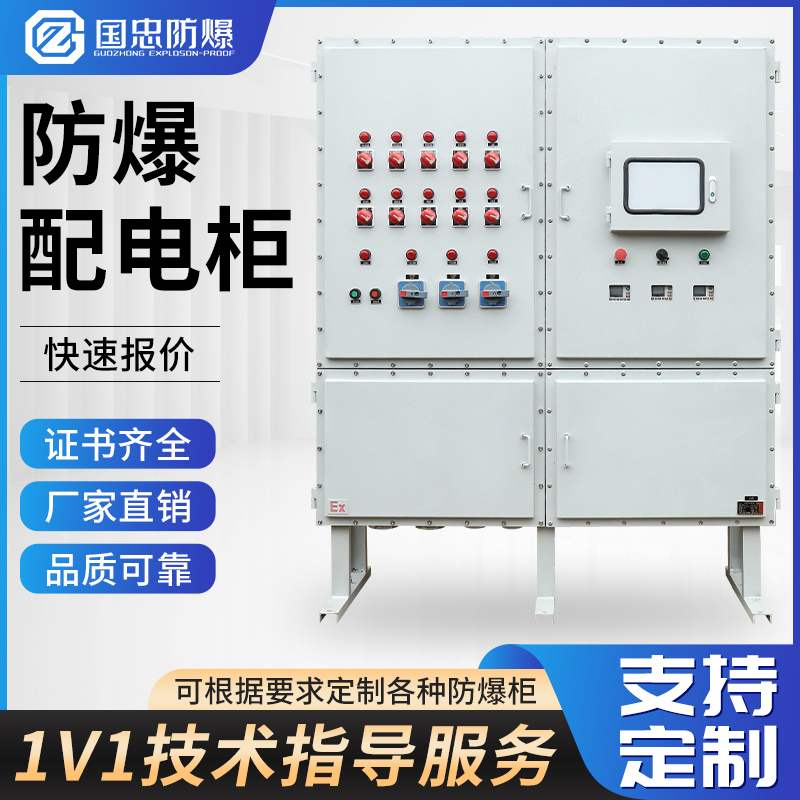 鋼板焊接防爆配電柜照明動力柜非標不銹鋼配電箱立式鐵箱