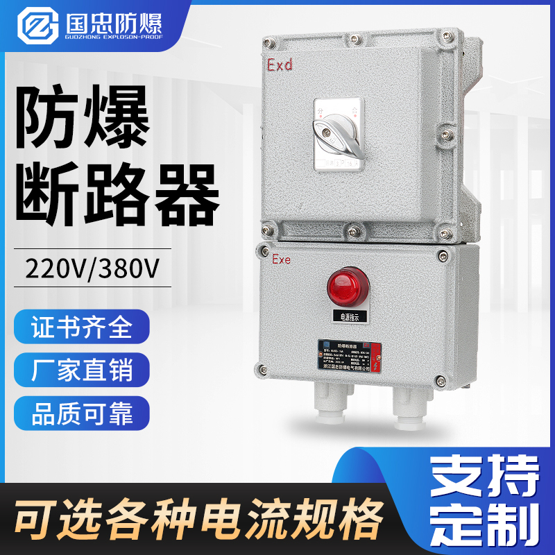 現(xiàn)貨防爆斷路器掛式220V空氣開(kāi)關(guān)帶漏電保護(hù)380V明裝單開(kāi)開(kāi)關(guān)箱