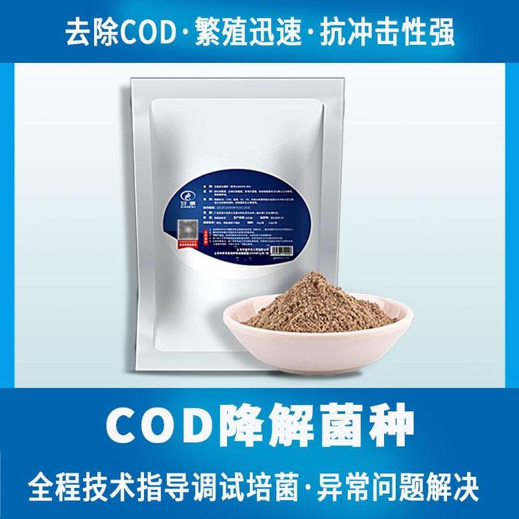 甘度复合物菌剂污水处理菌种一体化设备降解cod全程技术指导