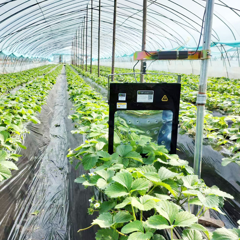 红皎阳大棚红蓝激光植物生长草莓一亩地黄瓜甜瓜无花果补光灯