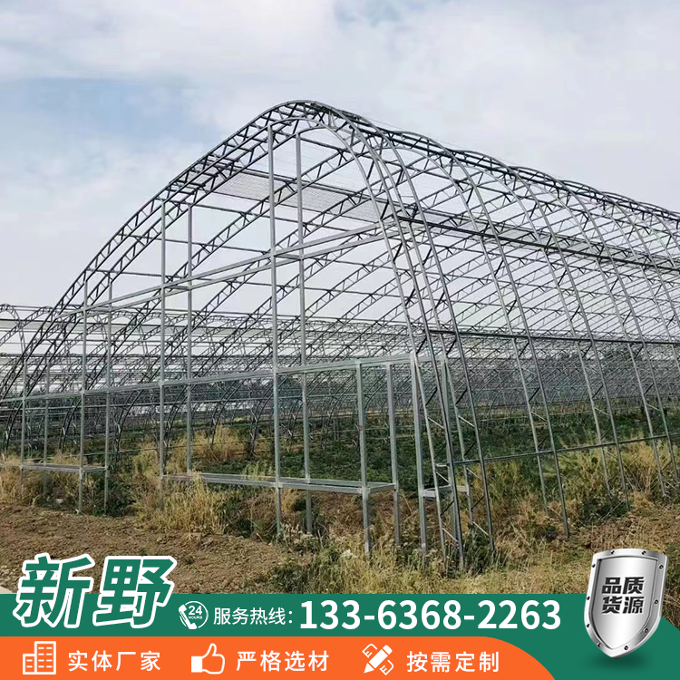 雙膜骨架日光溫室新野搭建蔬菜花卉種植溫室大棚加厚材質(zhì)