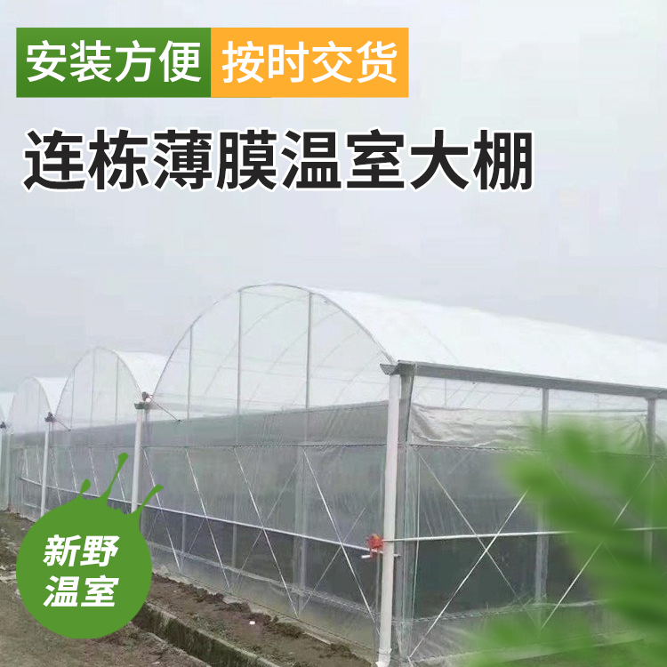 智能连栋薄膜温室养殖大棚建设成本低新野工程承建