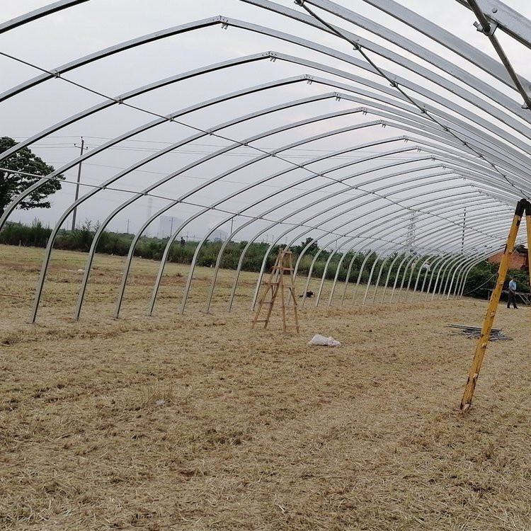 草莓种植大棚骨架温室大棚钢管宝宏钢铁采光性好