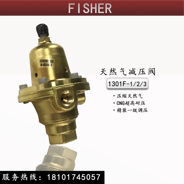 FISHER压缩天然气减压阀1301F-1\/2\/3高压燃气调压器1301G