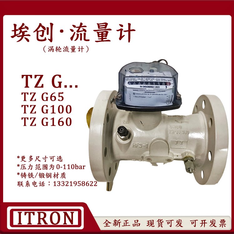 TZ\/G160德国埃创ITRON天然气用TZ\/G100DN80气体涡轮流量计