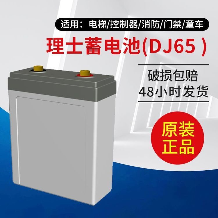 LEOCH理士蓄電池2V65AH電池DJ65太陽能UPSEPS電源直流屏