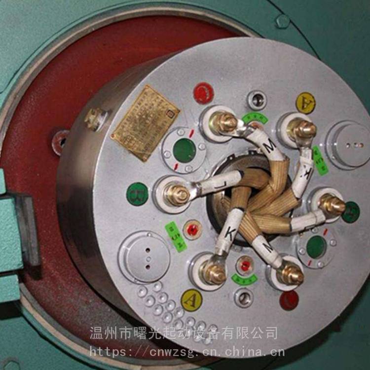 绕线电机WSZK无刷液阻启动器销售