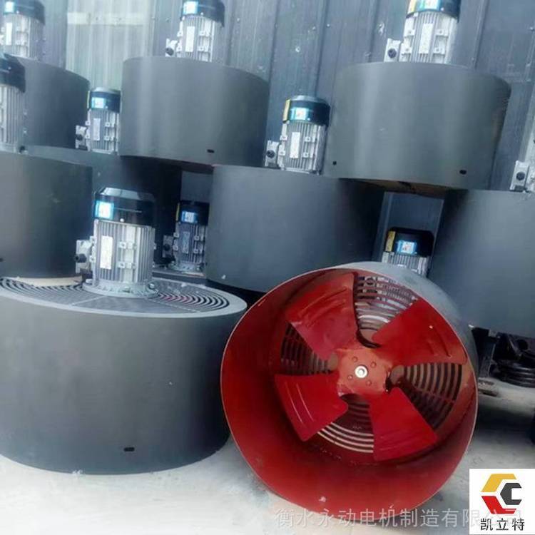 軸流風(fēng)機(jī)QL-280-4AA0.75KW660V強(qiáng)冷風(fēng)機(jī)生產(chǎn)廠家定做QL離心風(fēng)機(jī)