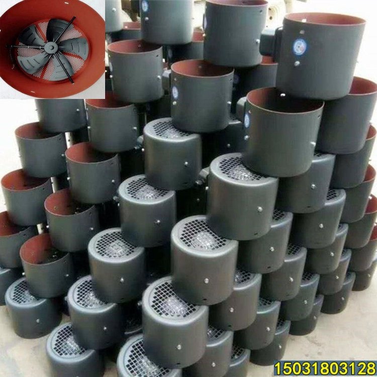 永動(dòng)廠家變頻風(fēng)機(jī)--變頻電機(jī)用通風(fēng)機(jī)--電動(dòng)機(jī)散熱風(fēng)扇G-160AB貨源產(chǎn)地供應(yīng)