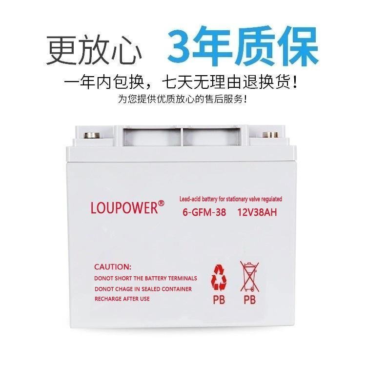 莱力LOUPOWER蓄电池6-GFM-3812V38AH直流屏UPS电源专用