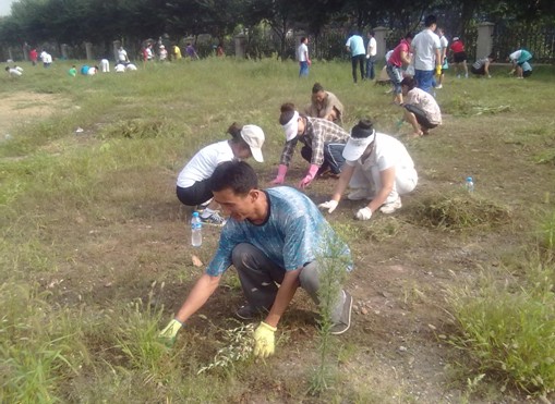 炎炎夏日威猛公司组织拔草活动改善生产环境-