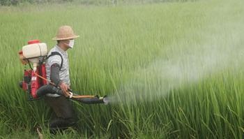 山林四冲程果园果树农药喷雾器 农用打药机 花圃喷药机