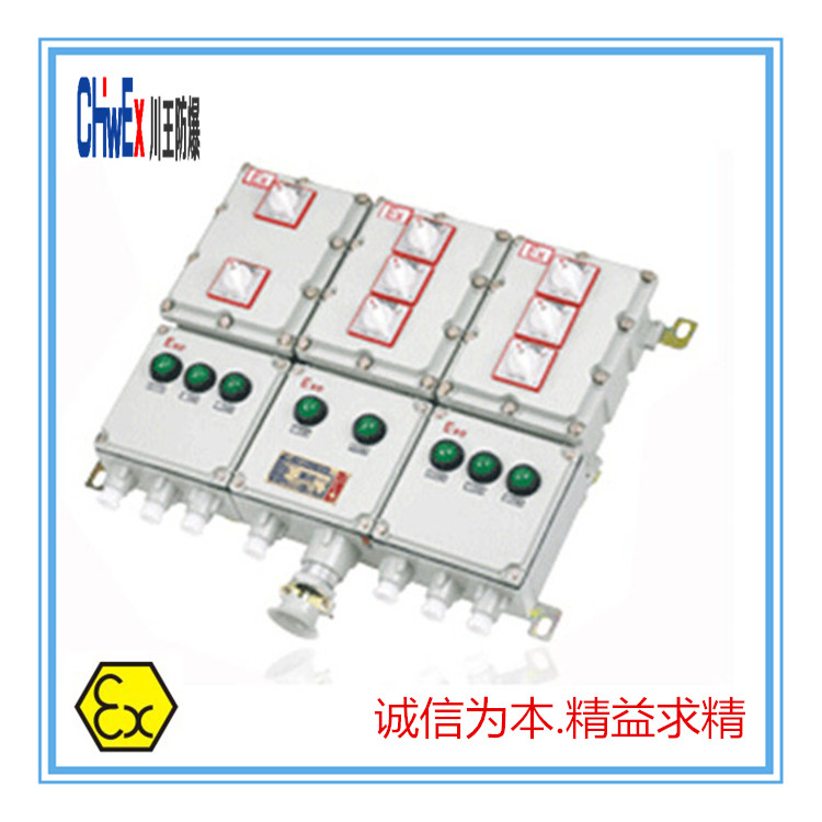 BXD51-F□Q系列粉尘防爆动力配电箱（电磁起动）