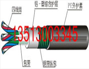 耐寒铠装铁路传输信号电缆PTYAH23-12*1.0