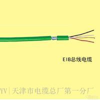 J-Y(ST)YH 2*2*0.8EIB总线电缆新型电缆