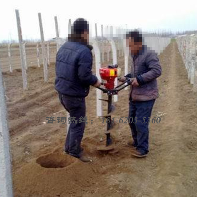 防风架立柱打眼机 栽树种植打孔机型号