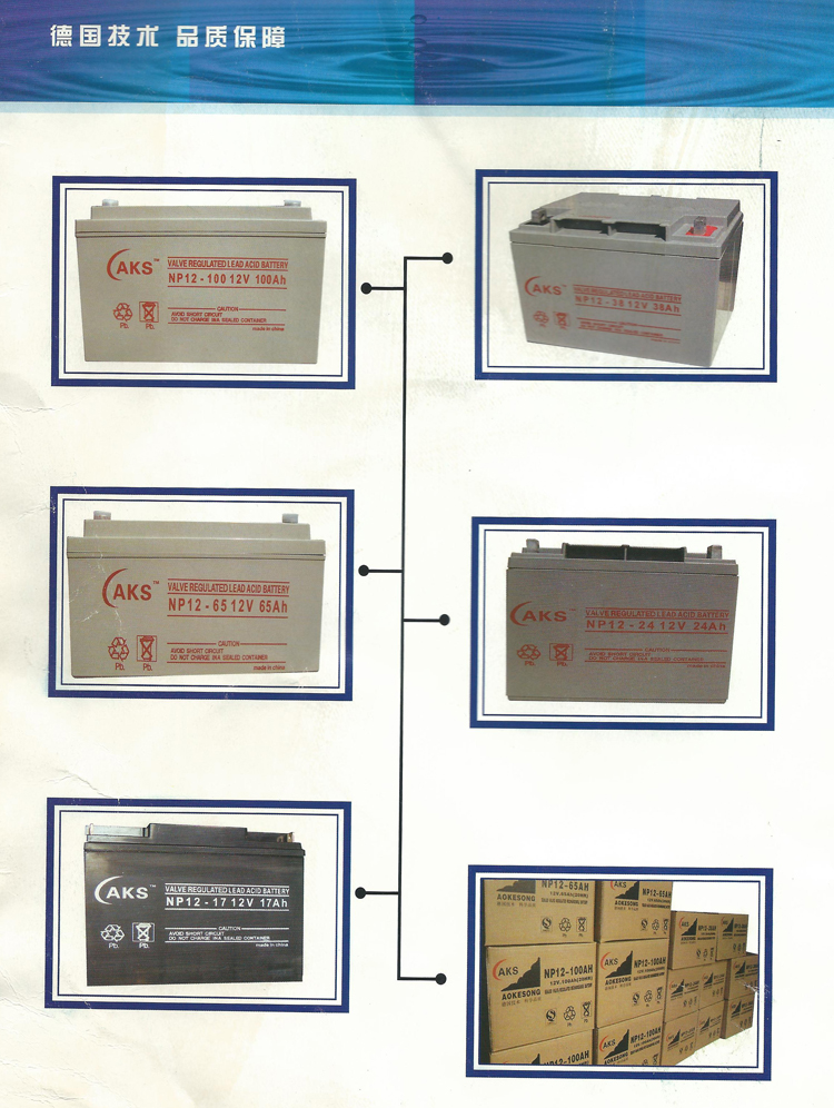 辽宁省AKS蓄电池NP200-12/12V-200AH