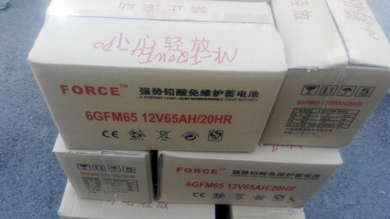 天津FORCE蓄电池6GFM17/12V17AH