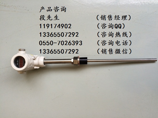 WRMB-54M带温度变送器防爆热电偶