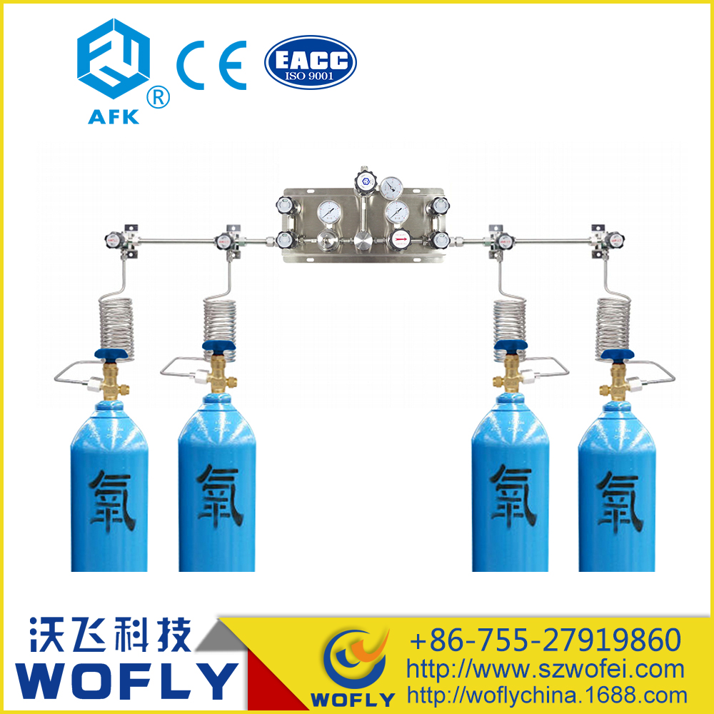 WL5系列双侧式特气汇流排