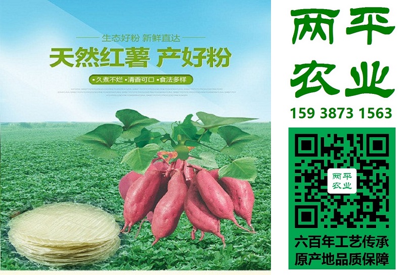 纯红薯粉条品牌排名|正宗红薯粉条企业定制|正宗红薯粉条推荐方案靖江湿红薯粉