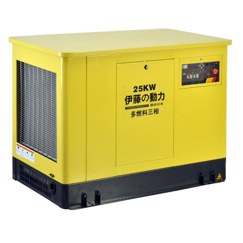 20Kw双燃料汽油发电机价格