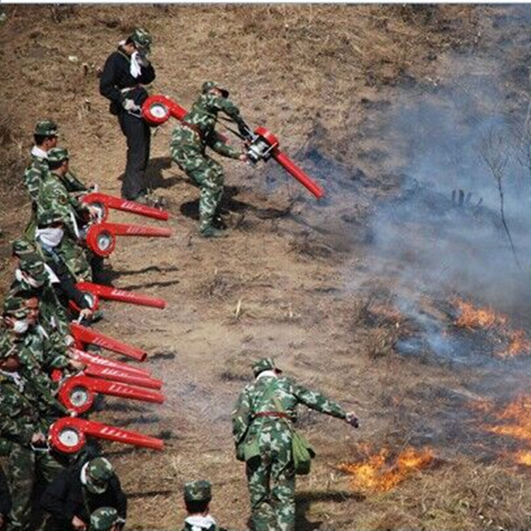 汽油园林工程吹风机  马路地面树叶吹尘背负式吹风机  院子小区物业专用汽油吹风机