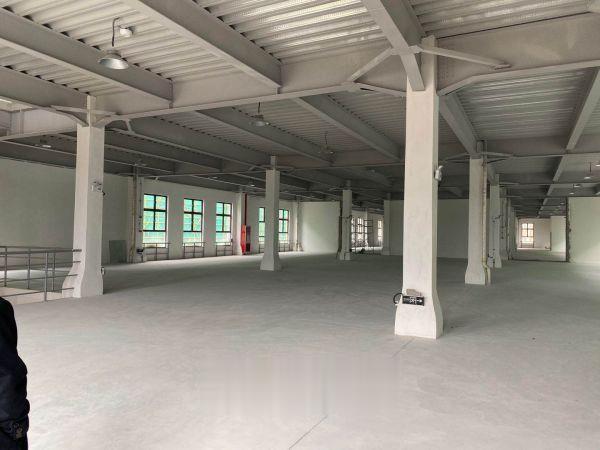 出售新桥全新稀缺小面积多层厂房，50年产权1700~4800平