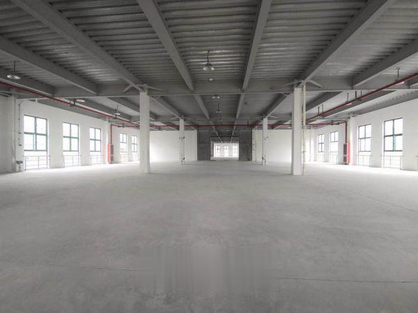 出售新桥全新稀缺小面积多层厂房，50年产权1700~4800平