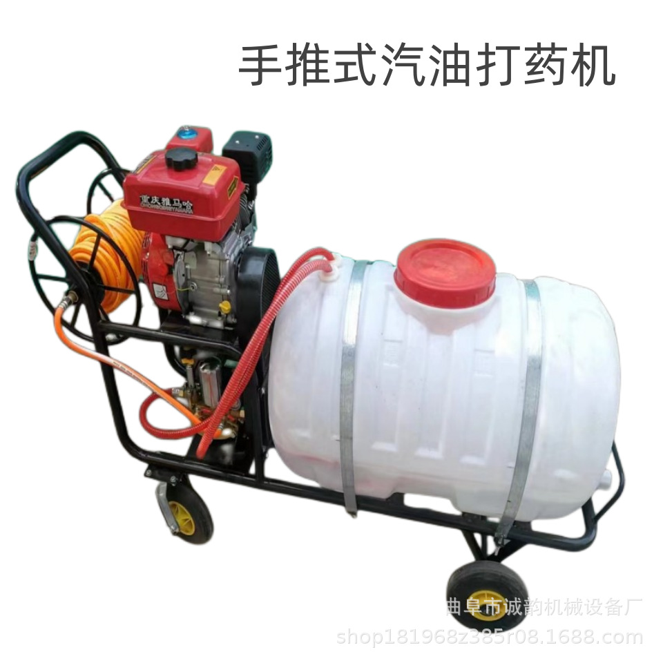 山东 手推式打药机 汽油大棚蔬菜喷药机100L200L300L农用喷雾机