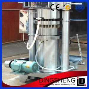 6yz-260 Sesame Seed Oil Mill Machine