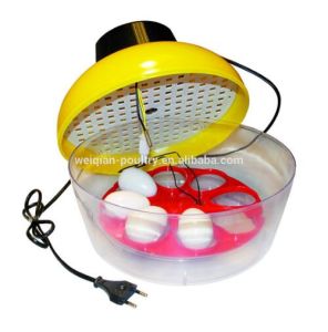 8 Egg Incubator Weiqian Brand Wq-8 Mini Incubator for Sale pictures & photos