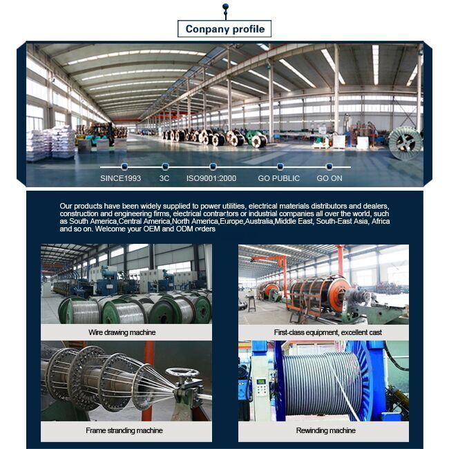 ASTM Standard Power Transmission ACSR Aluminium Conductors